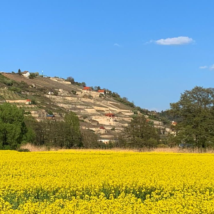 Schweigenberge